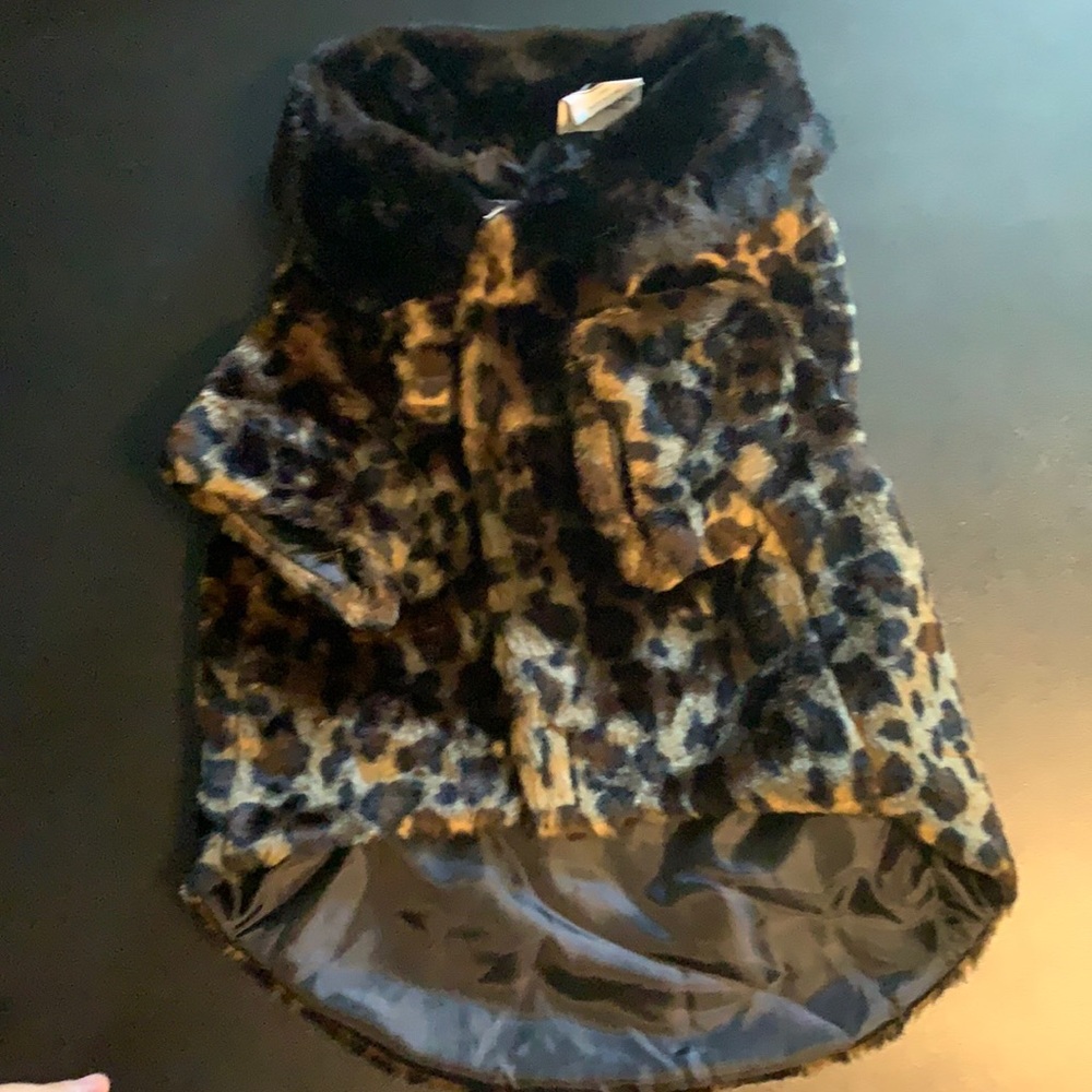Beautiful Companion Road Dog Jacket